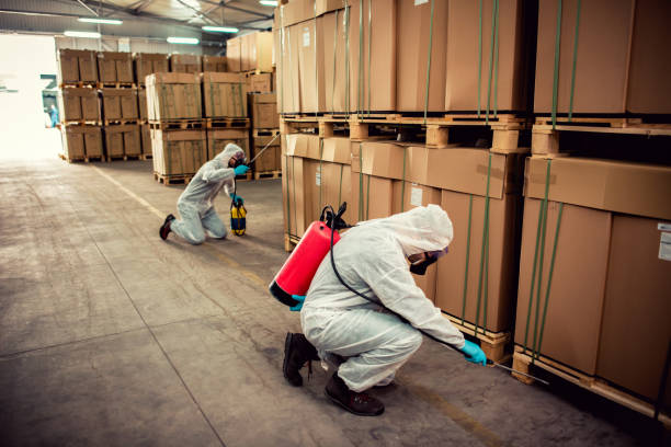 Best Residential Pest Control  in North Kensington, MD