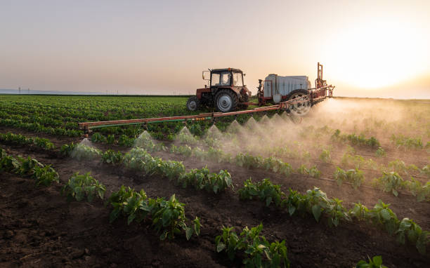 Best Commercial Pest Control Services  in North Kensington, MD