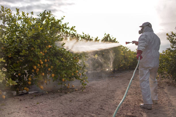 Best Best Pest Control Companies  in North Kensington, MD